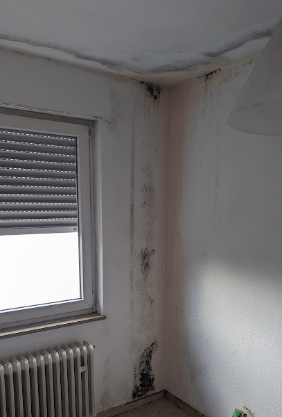 Sachverständigen Büro Rodriguez Garcia UG